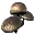 Aggeravic Mushroom