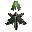 Artifact of Growth