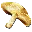 Auric Mushroom