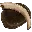 Chitin or Keratin