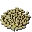 Citronal Seed