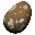 Fertilized Compy Egg