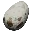 Fertilized Dodo Egg