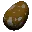 Fertilized Pachyrhino Egg