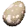 Fertilized Pegomastax Egg