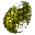 Fertilized Tek Trike Egg
