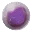 Fertilized Tusoteuthis Egg