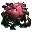 Leech Blood