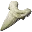 Megalodon Tooth