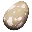 Pegomastax Egg