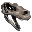 Raptor Bone Costume