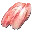 Raw Fish Meat