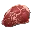 Raw Meat