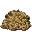Rockarrot Seed