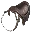 Sabertooth Saddle