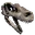 Skeletal Raptor