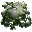 Titanoboa Venom